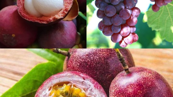 Top ba loại quả màu tím siêu bổ dưỡng cho cả nhà ngày hè